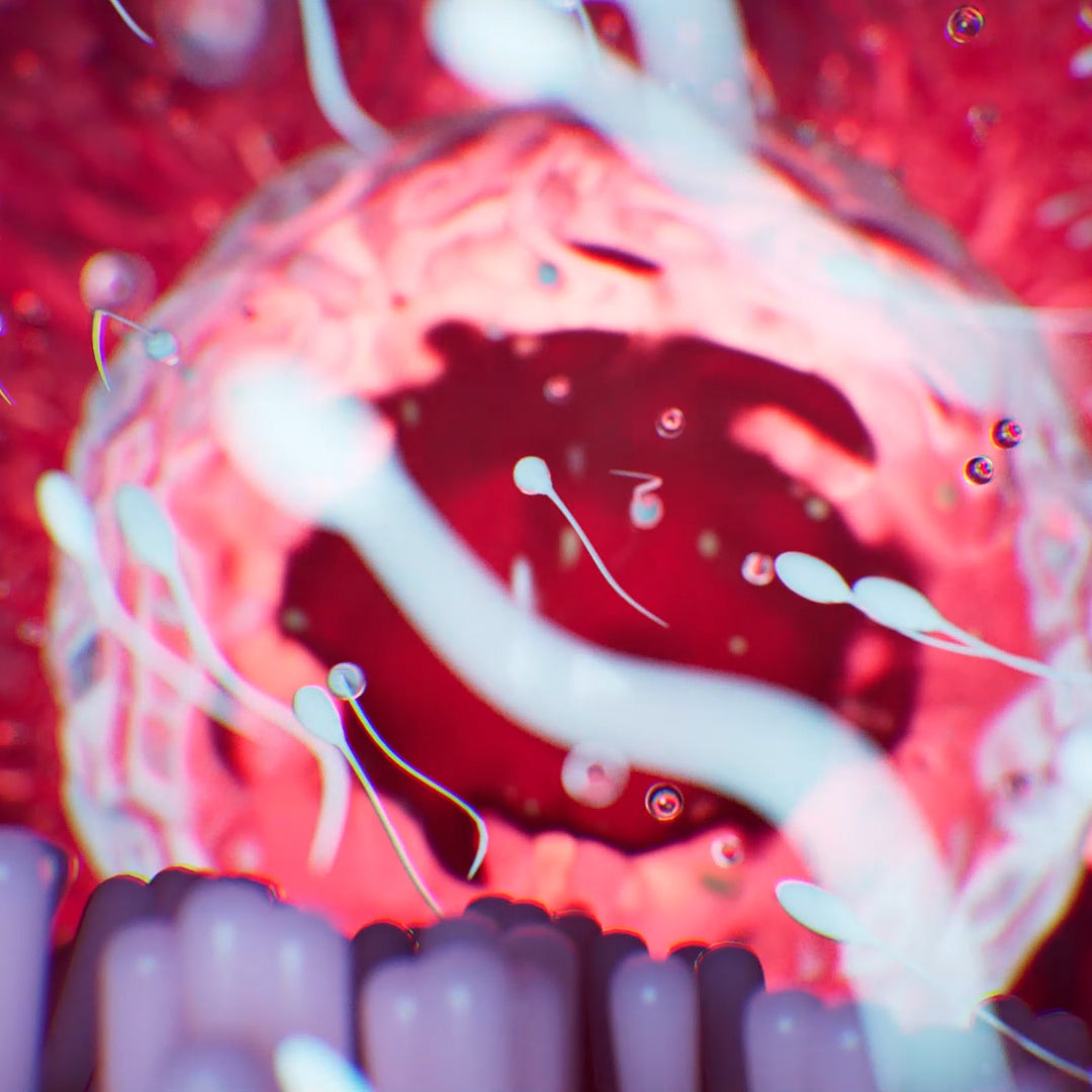 Using ovulation tests with PCOS PREGMATE