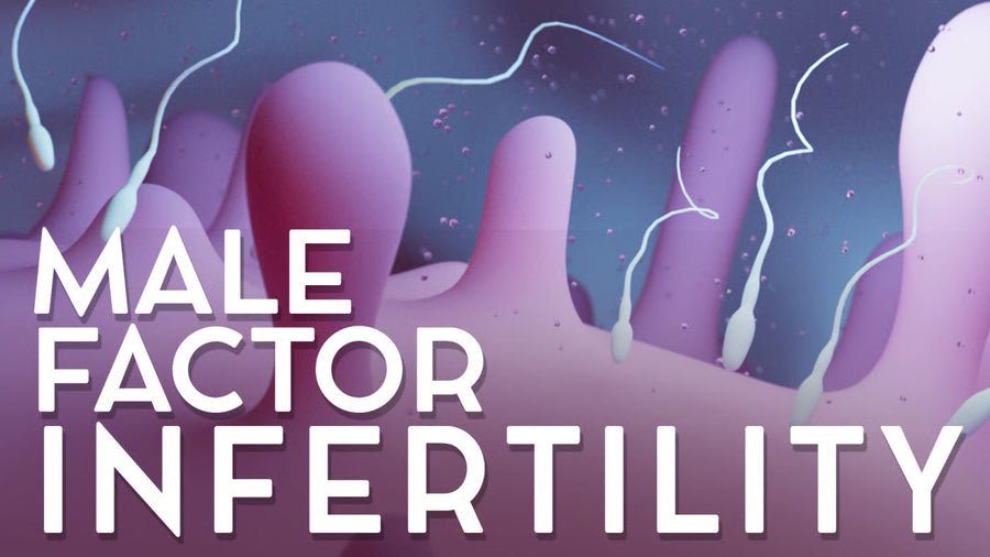 Male factor infertility: understanding and overcoming