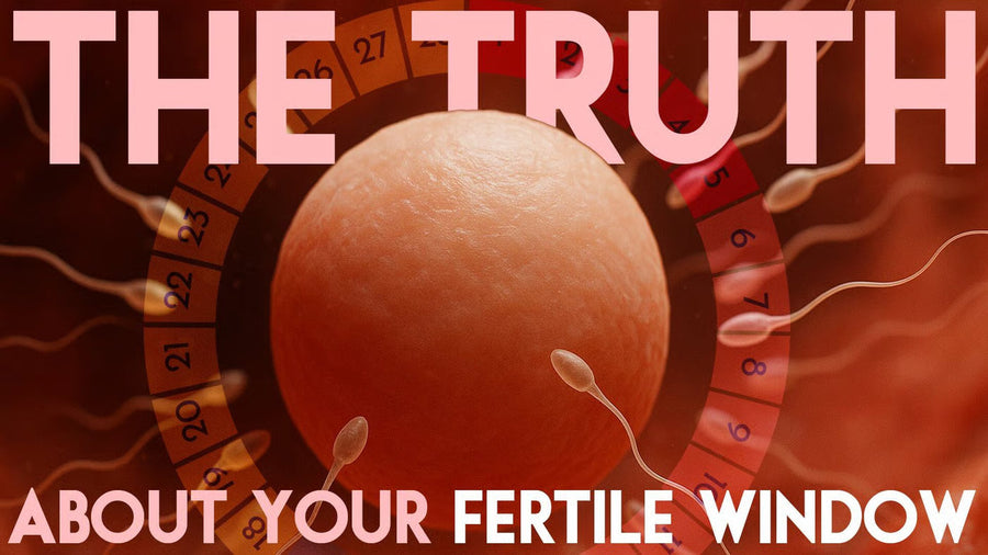 When is your fertile window? The science of timing conception