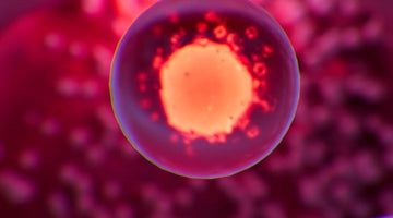 Predicting ovulation