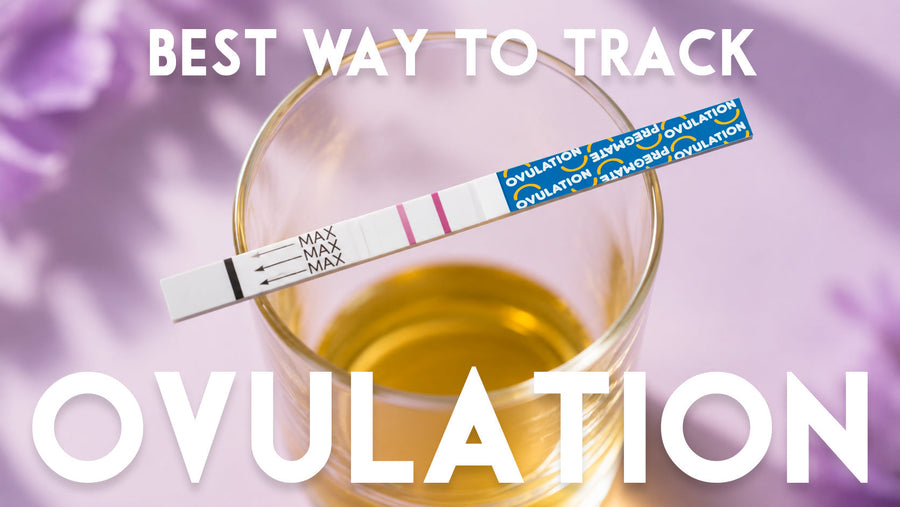 LH surge & ovulation tracking. Determine most fertile days