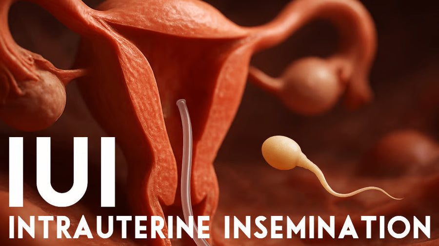 Understanding IUI intrauterine insemination: a complete guide