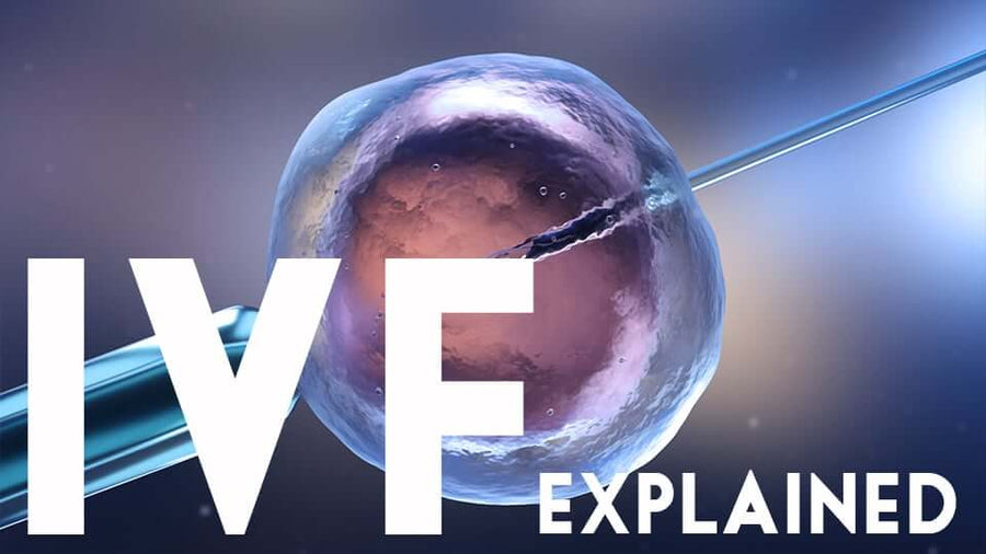 Your IVF journey: navigating the path of In vitro fertilization