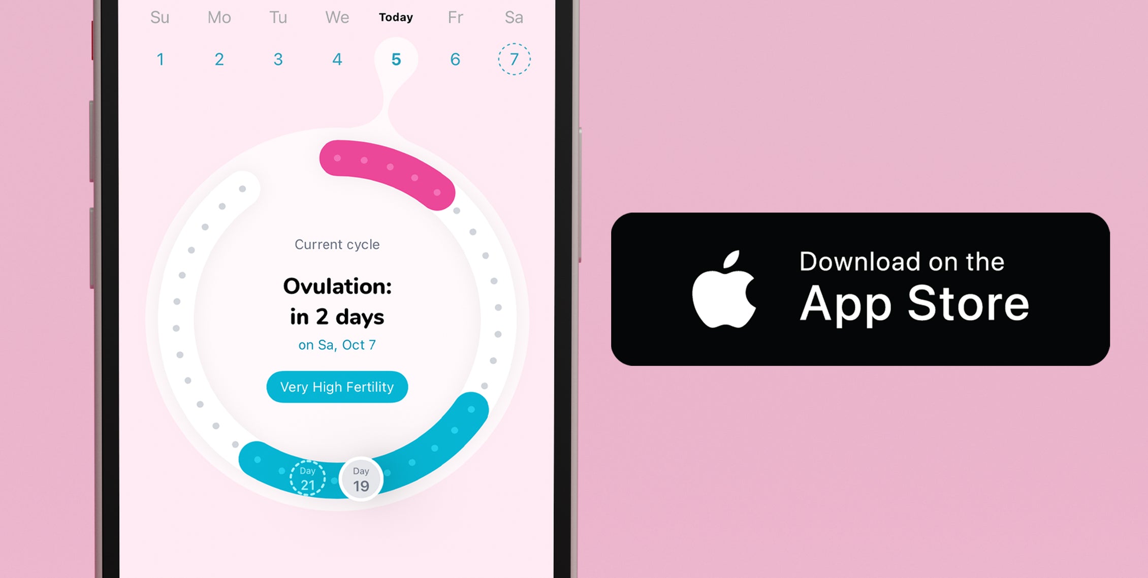 How to use ovulation test? How ovulation tests work? Reading results